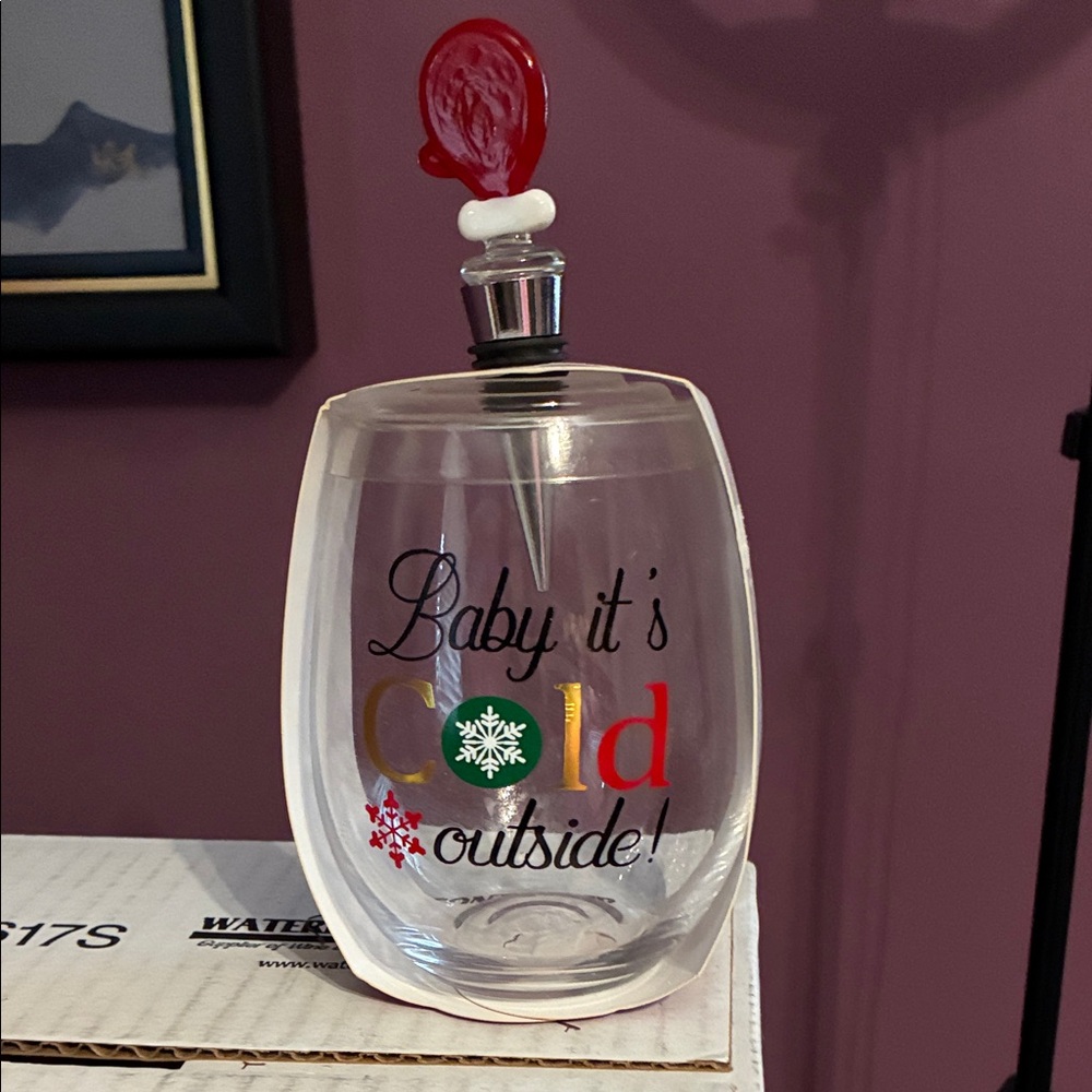 Wine Glass and Stopper Giftset